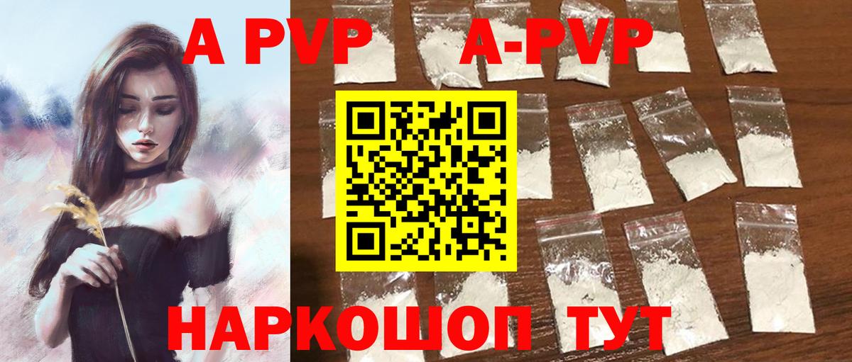 A-PVP СК КРИС Гагарин